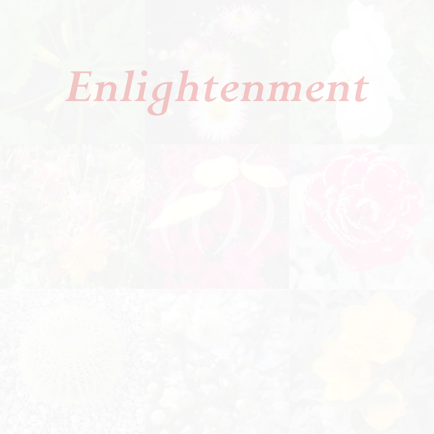 Plants activation