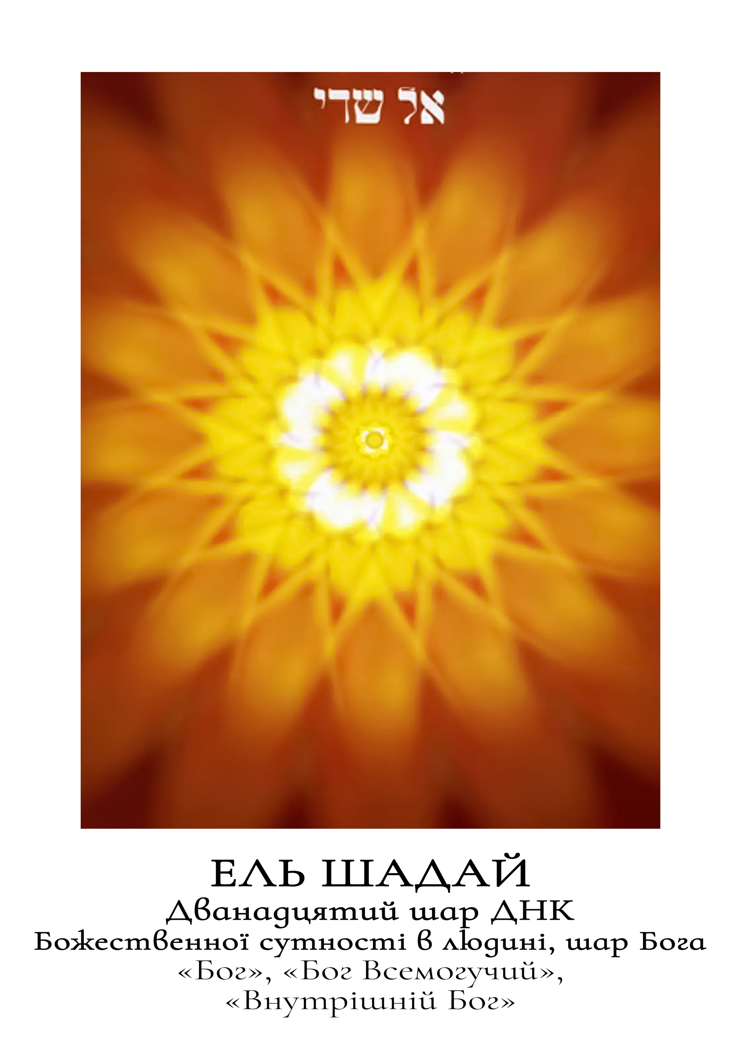 12_shar_DNK