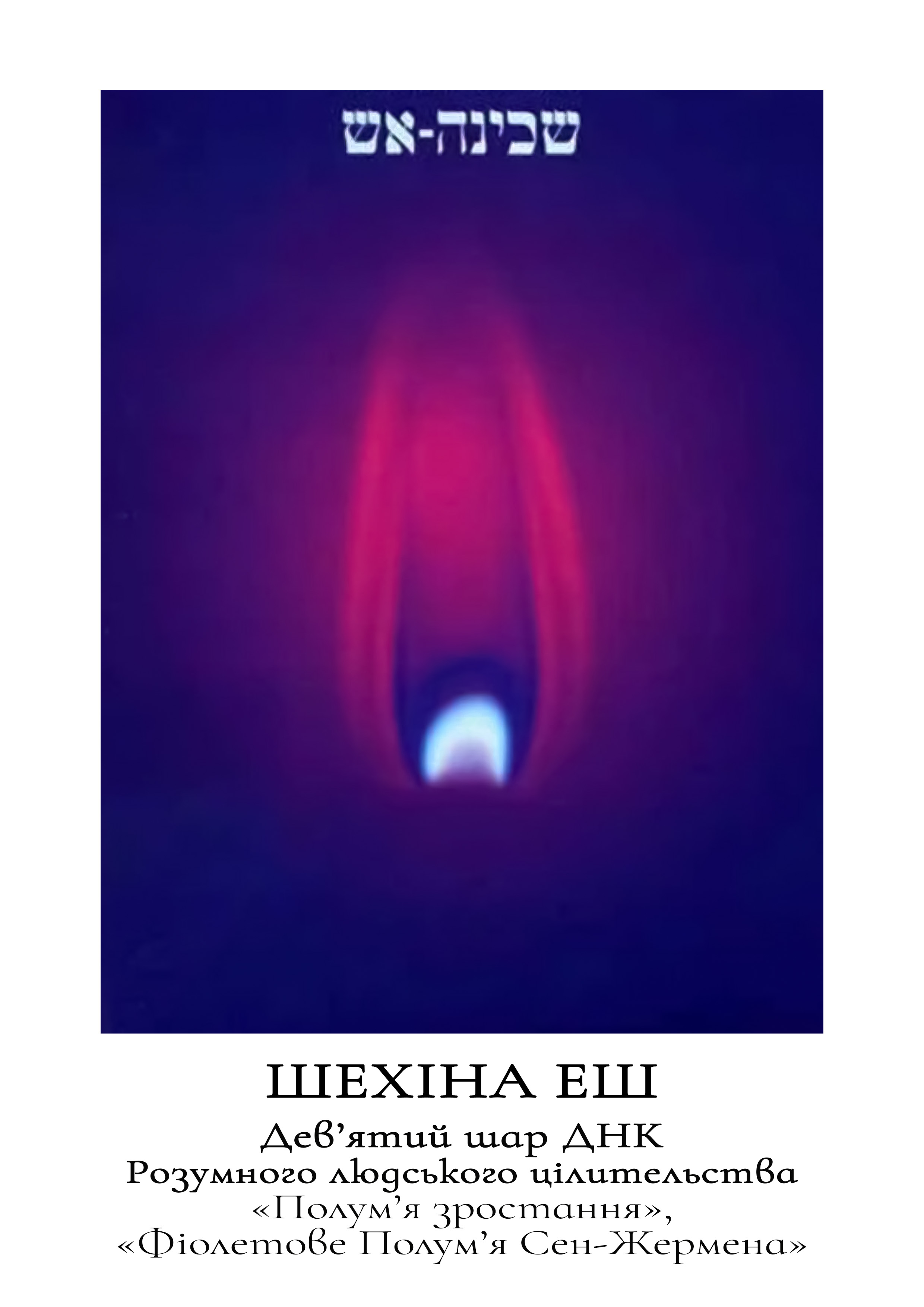9_shar_DNK